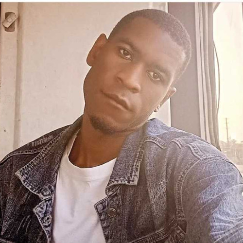 davie M. profile photo