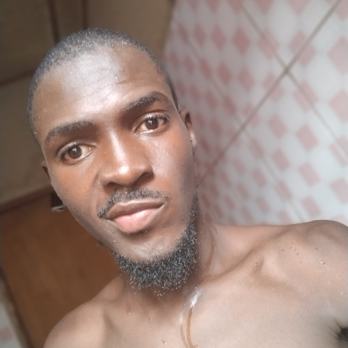 Bamshak T. profile photo
