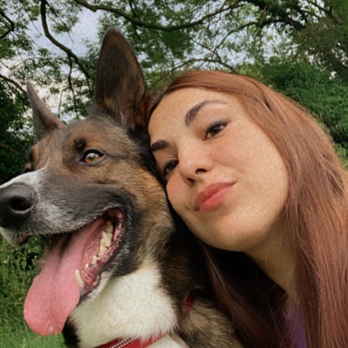 Diana D. profile photo