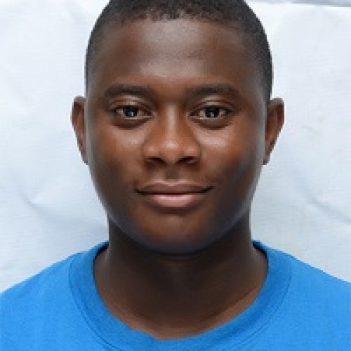 Oluwafemi I.