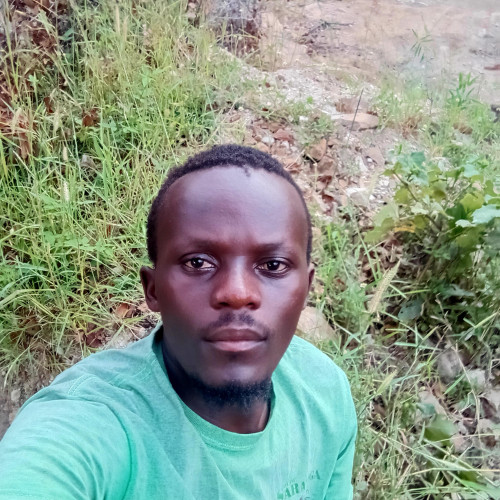 Sambayi L. profile photo