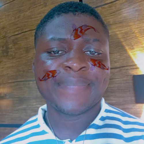 boyibitawo A. profile photo