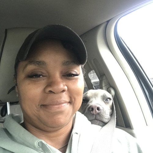 Mimi S. profile photo
