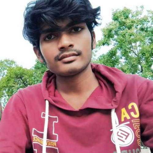 Shivay M. profile photo