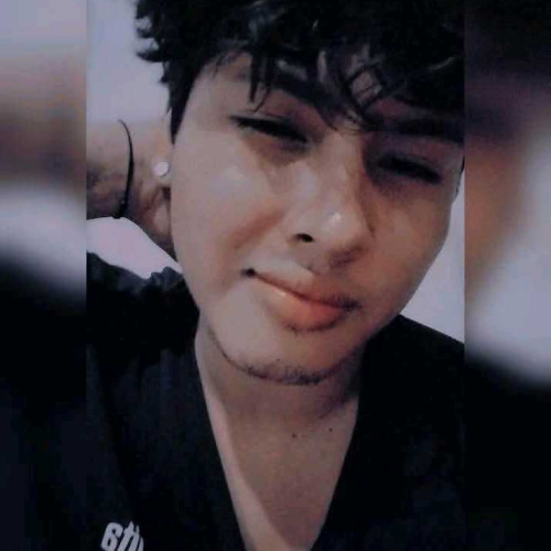 ERICK s.