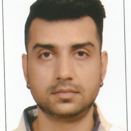 Anshul S. profile photo