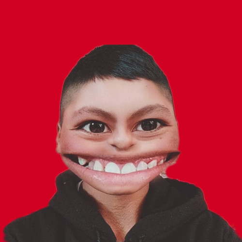 Luis  C. profile photo