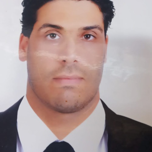 Abdelhak m.