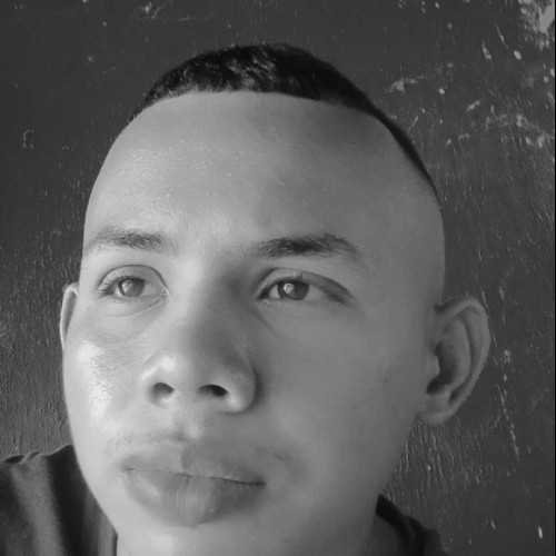 Daniel Elas S.