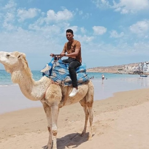Mohamed  E. profile photo