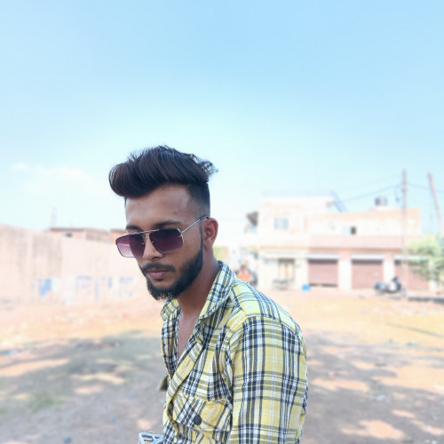 Raja P. profile photo