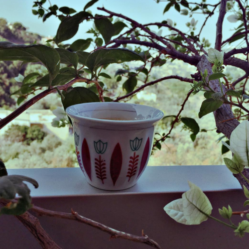 lilas l.