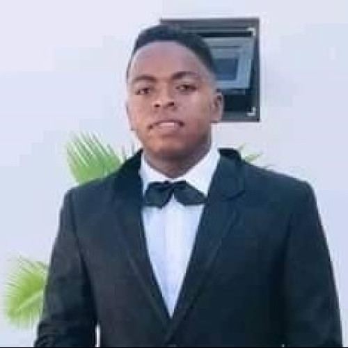 orlando n. profile photo