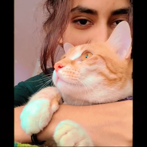 Priyanshi K. profile photo