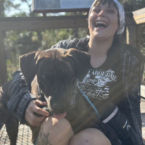 Linda K. profile photo