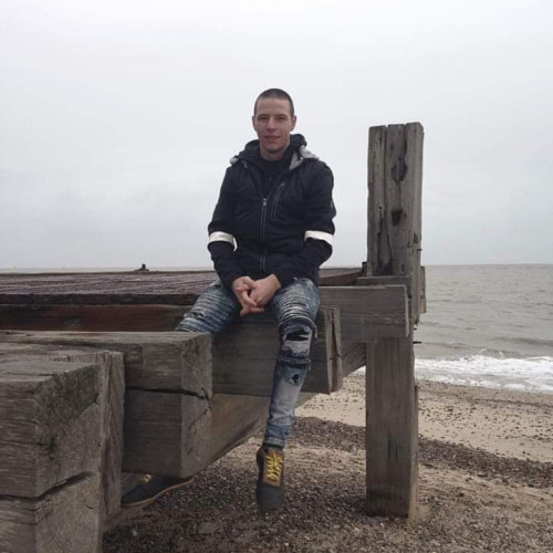 David  I. profile photo