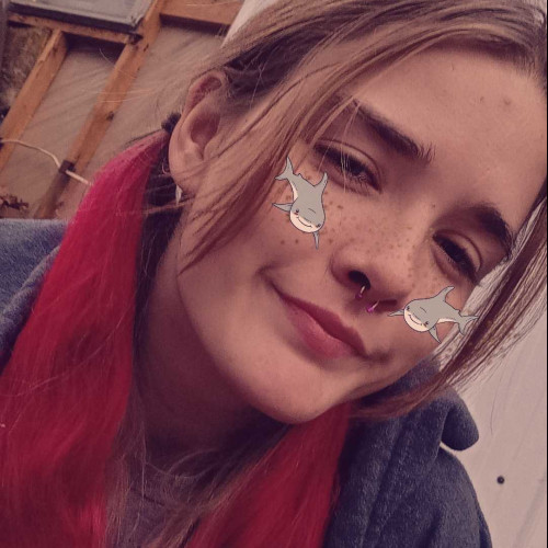 destanie w. profile photo
