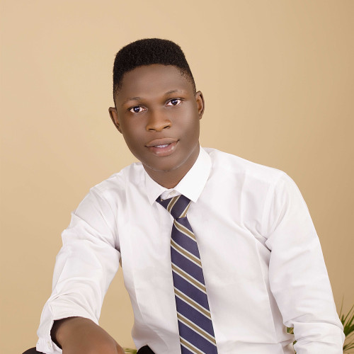 Eniola O. profile photo