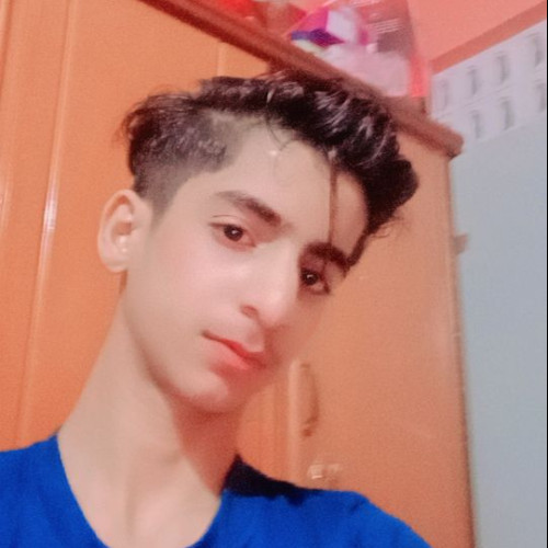 Naaz N. profile photo