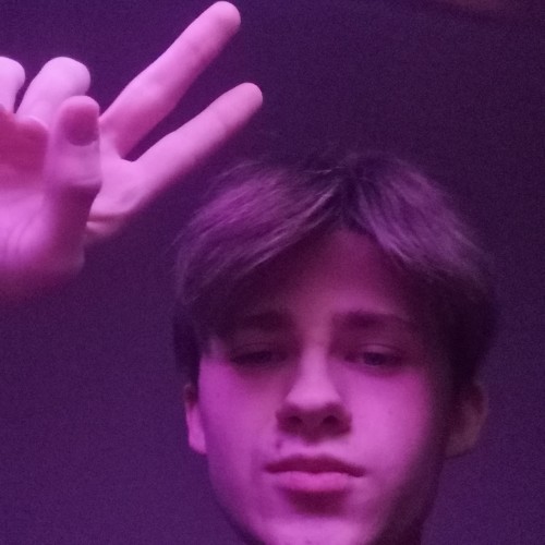 Dov M. profile photo