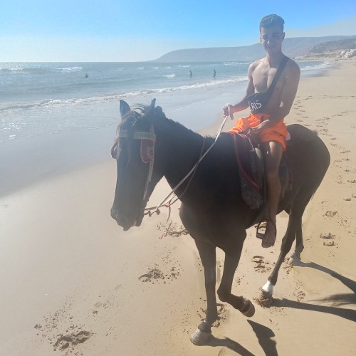 Mohamad Amine  M. profile photo