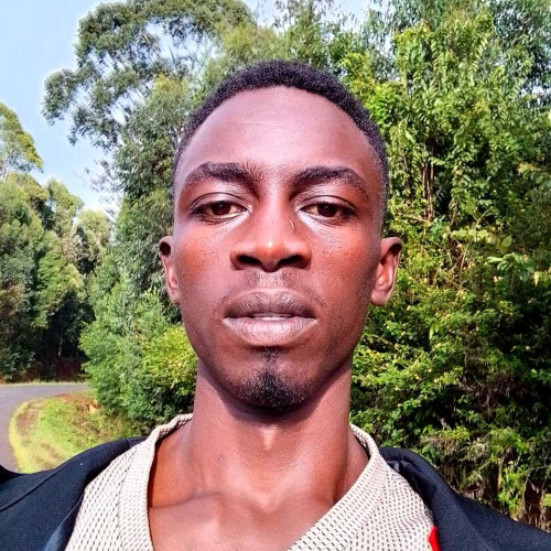 Collins M. profile photo