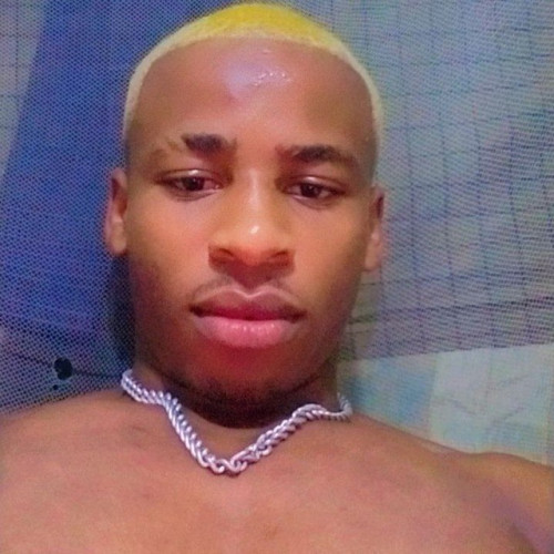 Levy Z.