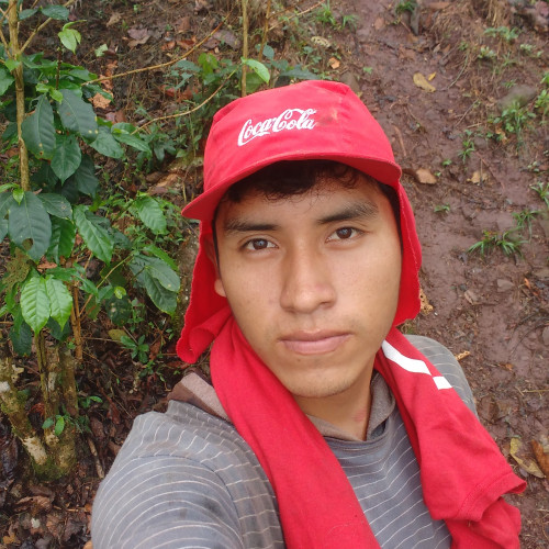 Antony M. profile photo