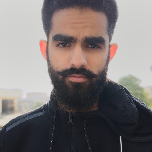 Ali A. profile photo