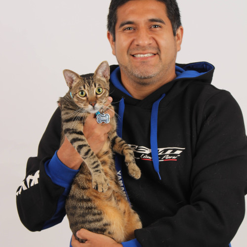 Luis T. profile photo