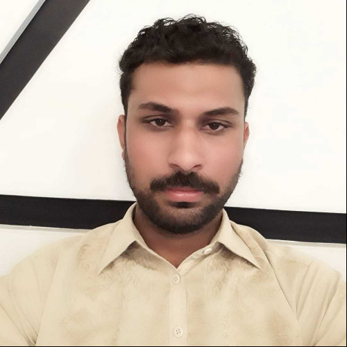 ali Z. profile photo