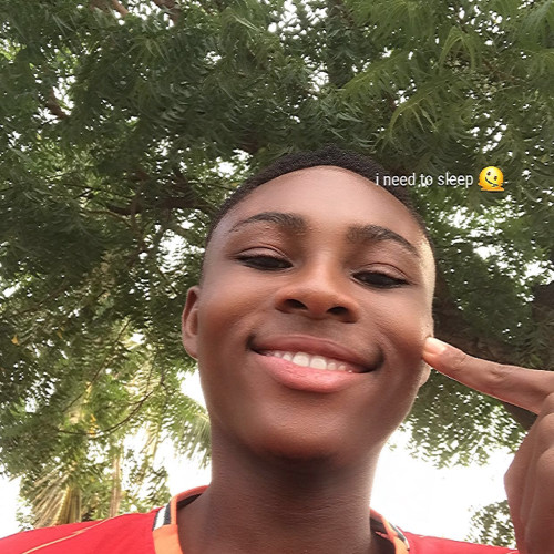 Ibrahim  M. profile photo