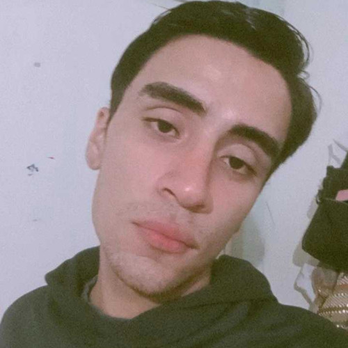 Daniel C. profile photo