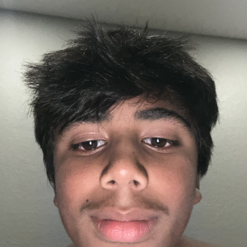Denith P. profile photo
