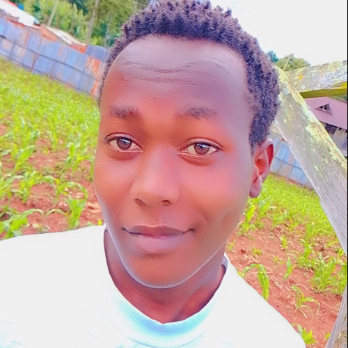 Timmy F. profile photo