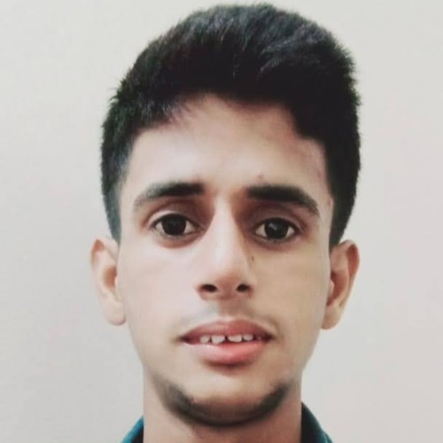 Sajjad  M.