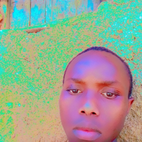 Ramsi  M. profile photo