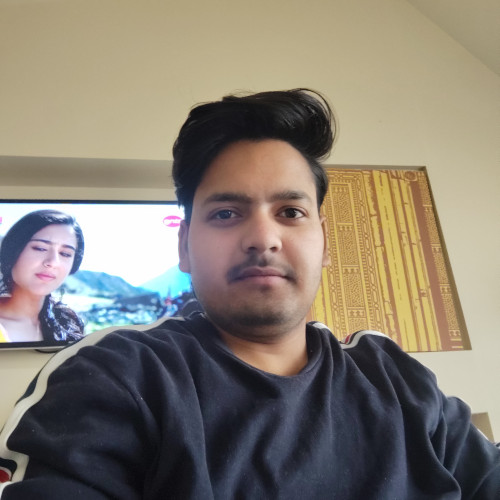 Ankit S.