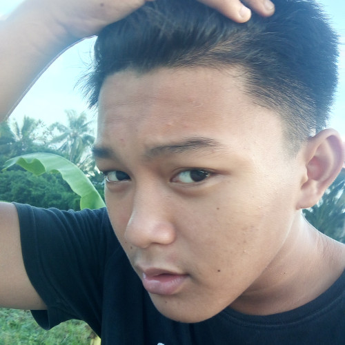Heinz P. profile photo