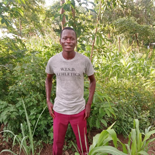 Steve  T. profile photo