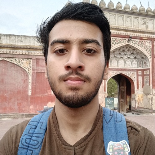 Ali Z. profile photo