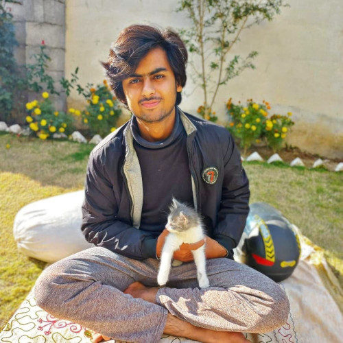 Tayyab F. profile photo