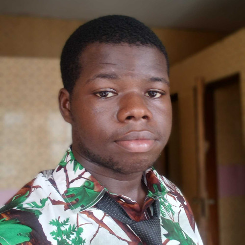 testimony N. profile photo