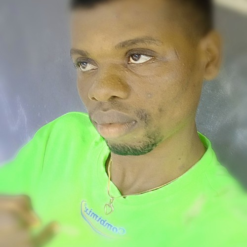 Ogadimma E.