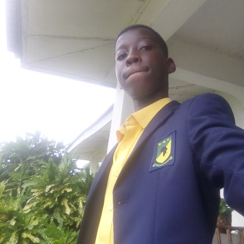 King J. profile photo