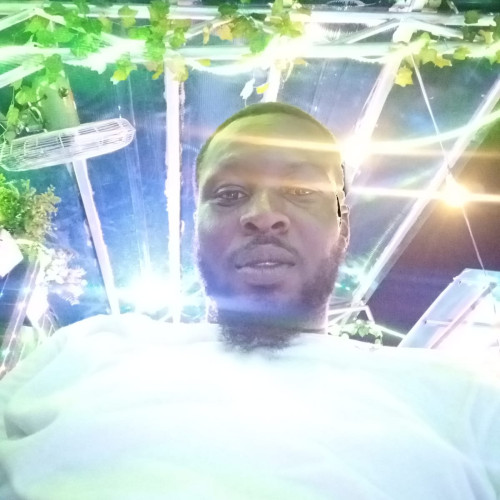 Abayomi O. profile photo