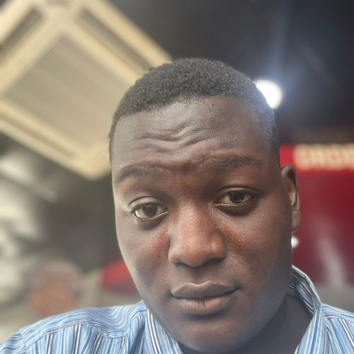 OGUNDIPE O. profile photo