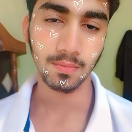 Narender  D. profile photo