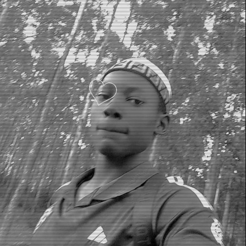 ALVIN W. profile photo