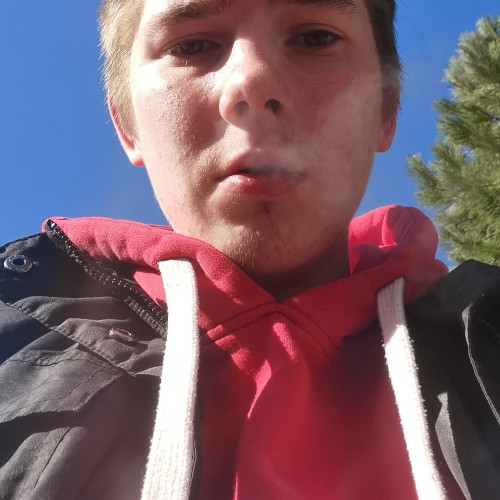 Mikael R.